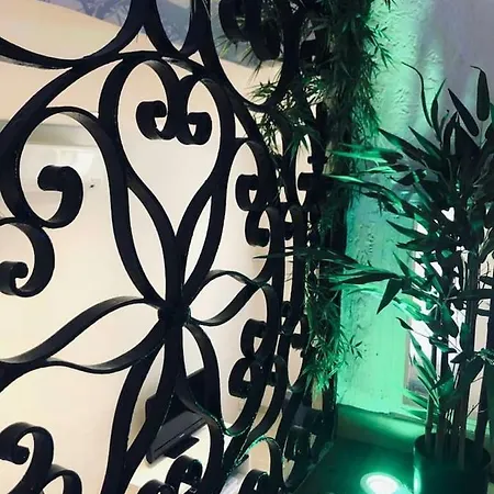 Centre 10 Min De La Croisette/downtown Cannes